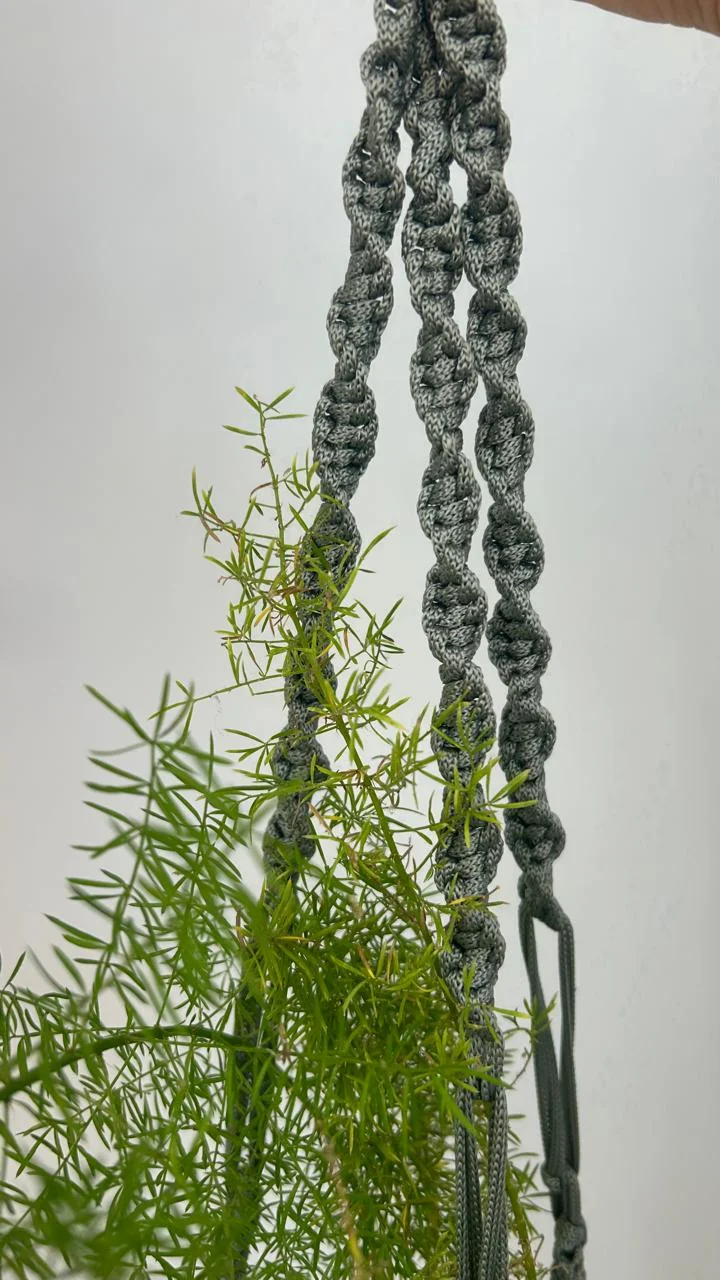 SUPORTE DE PLANTAS